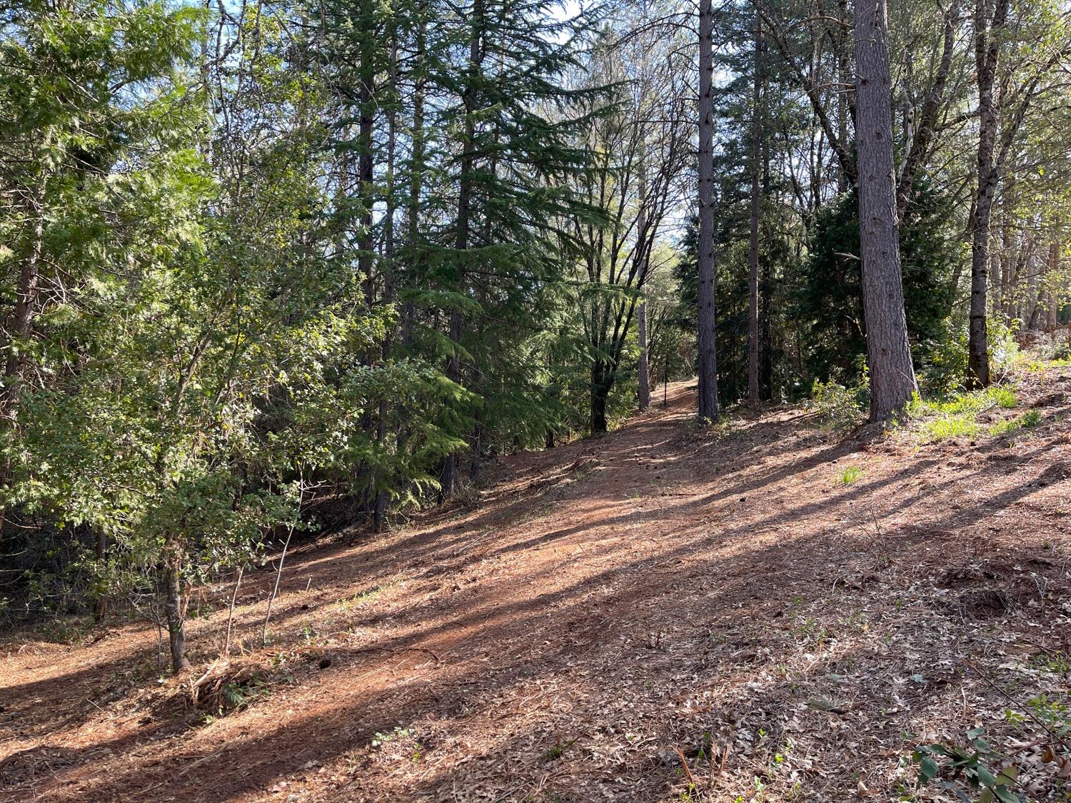 7540 Georgetown Road