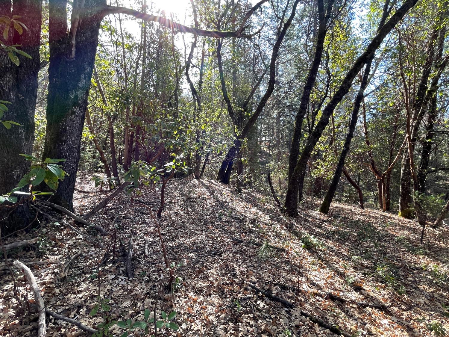 7540 Georgetown Road