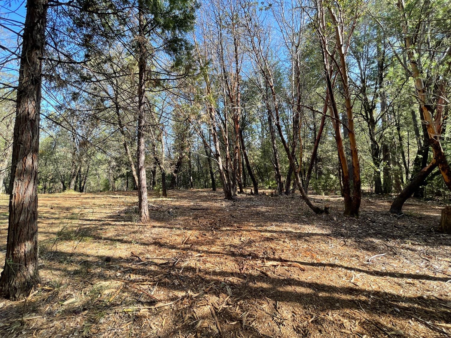 7540 Georgetown Road