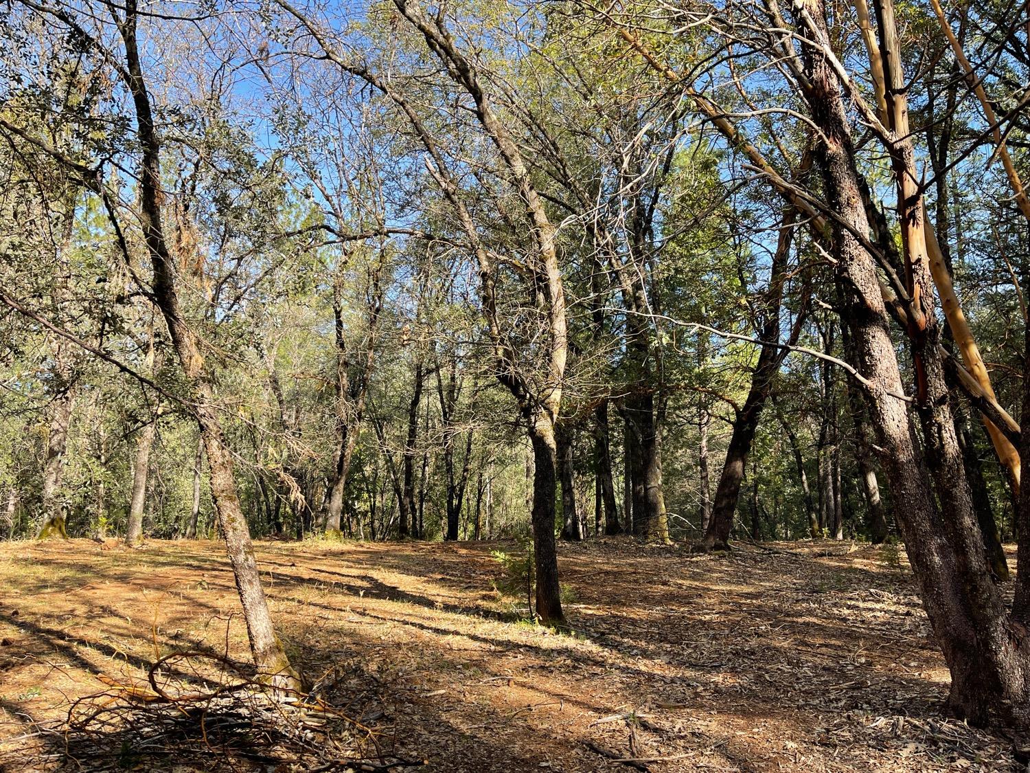 7540 Georgetown Road