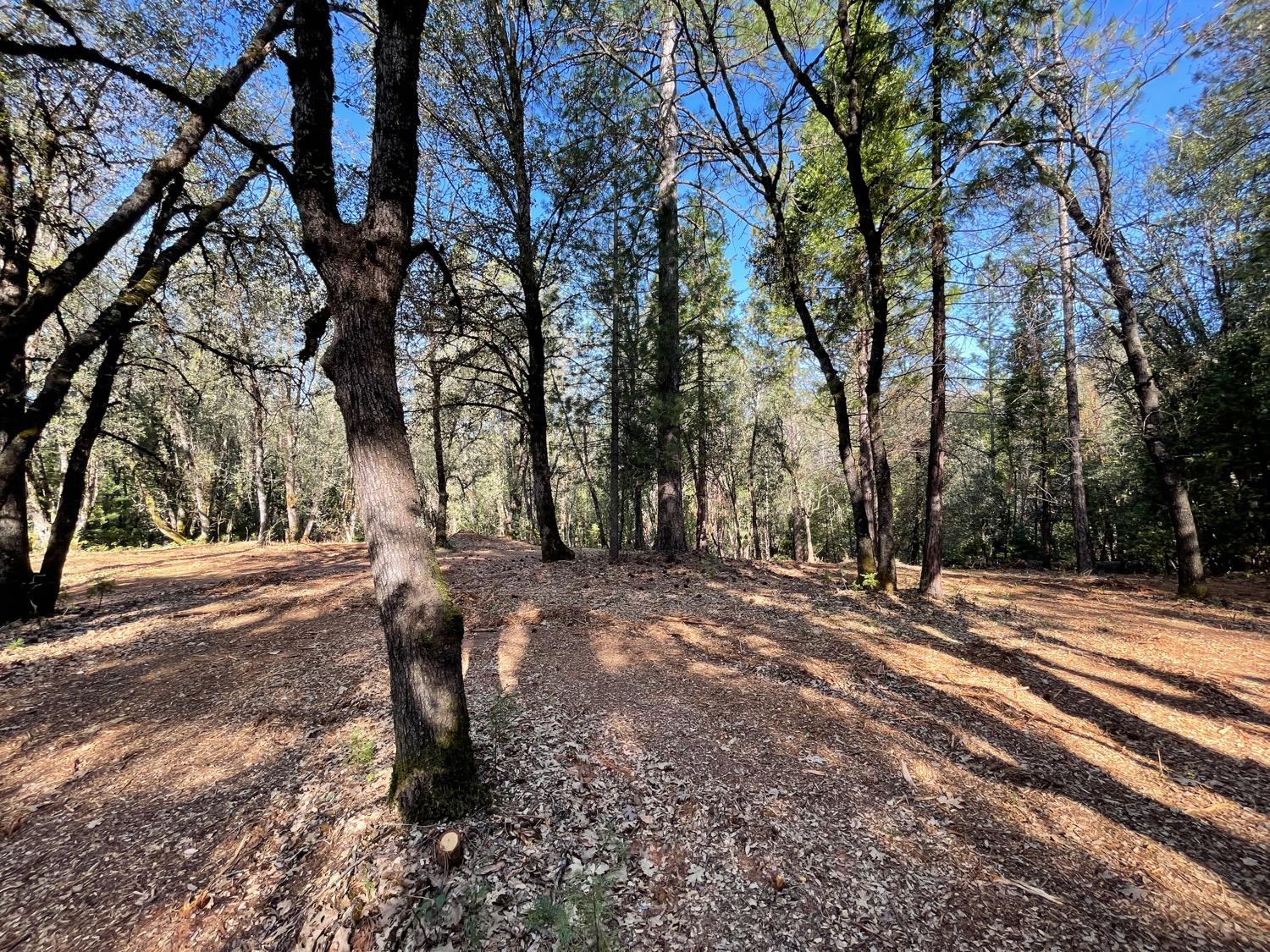 7540 Georgetown Road