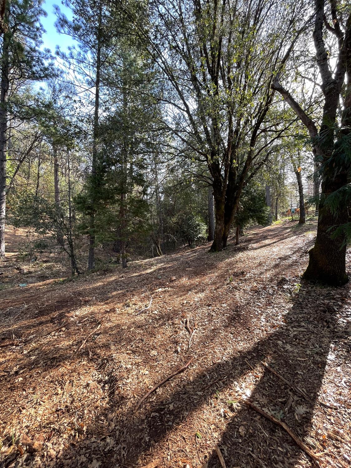 7540 Georgetown Road