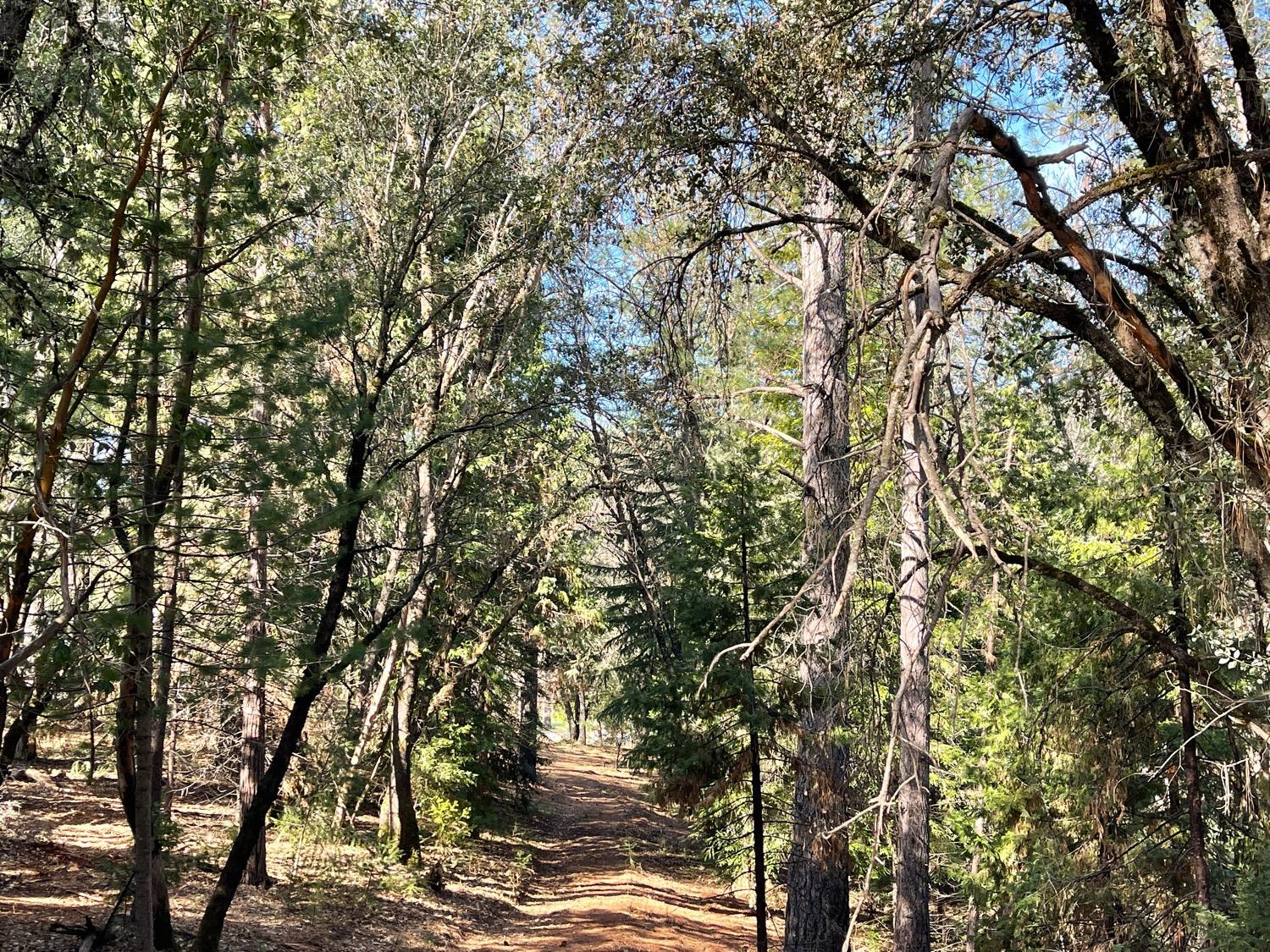 7540 Georgetown Road