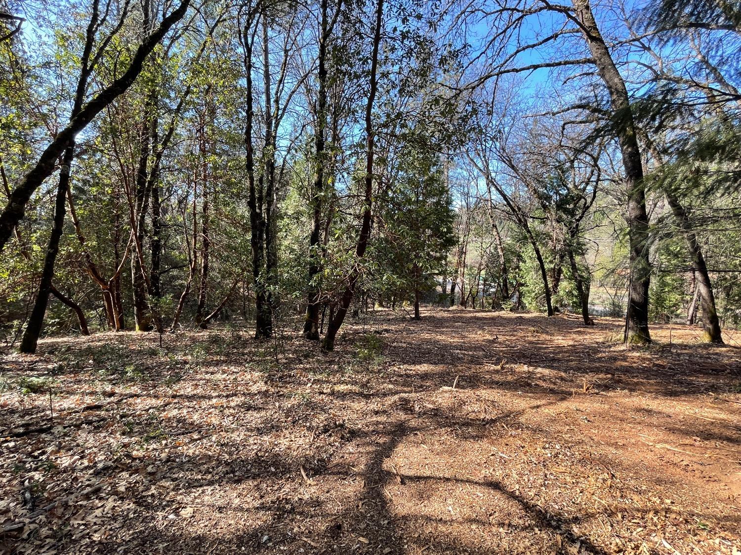 7540 Georgetown Road