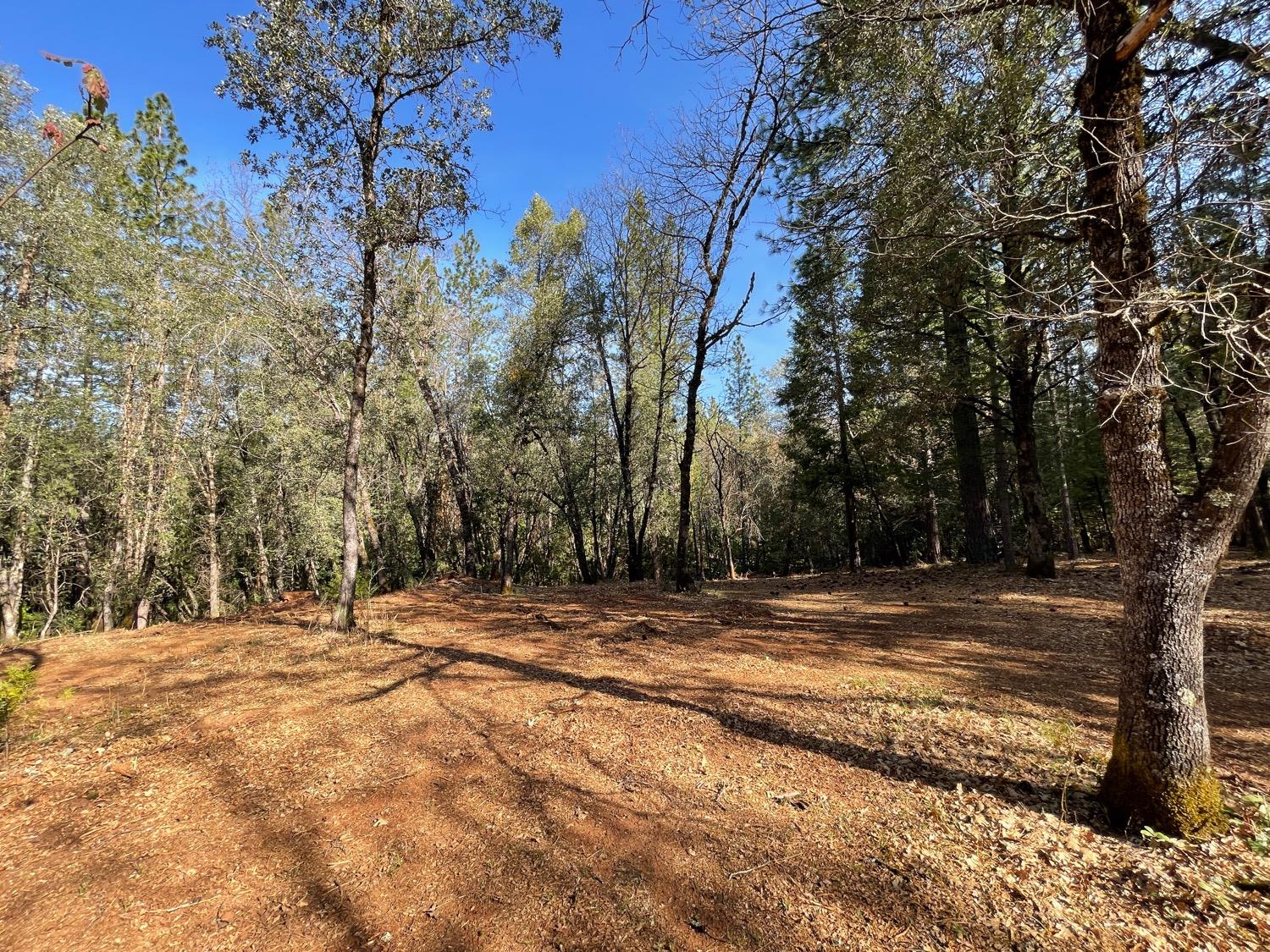 7540 Georgetown Road