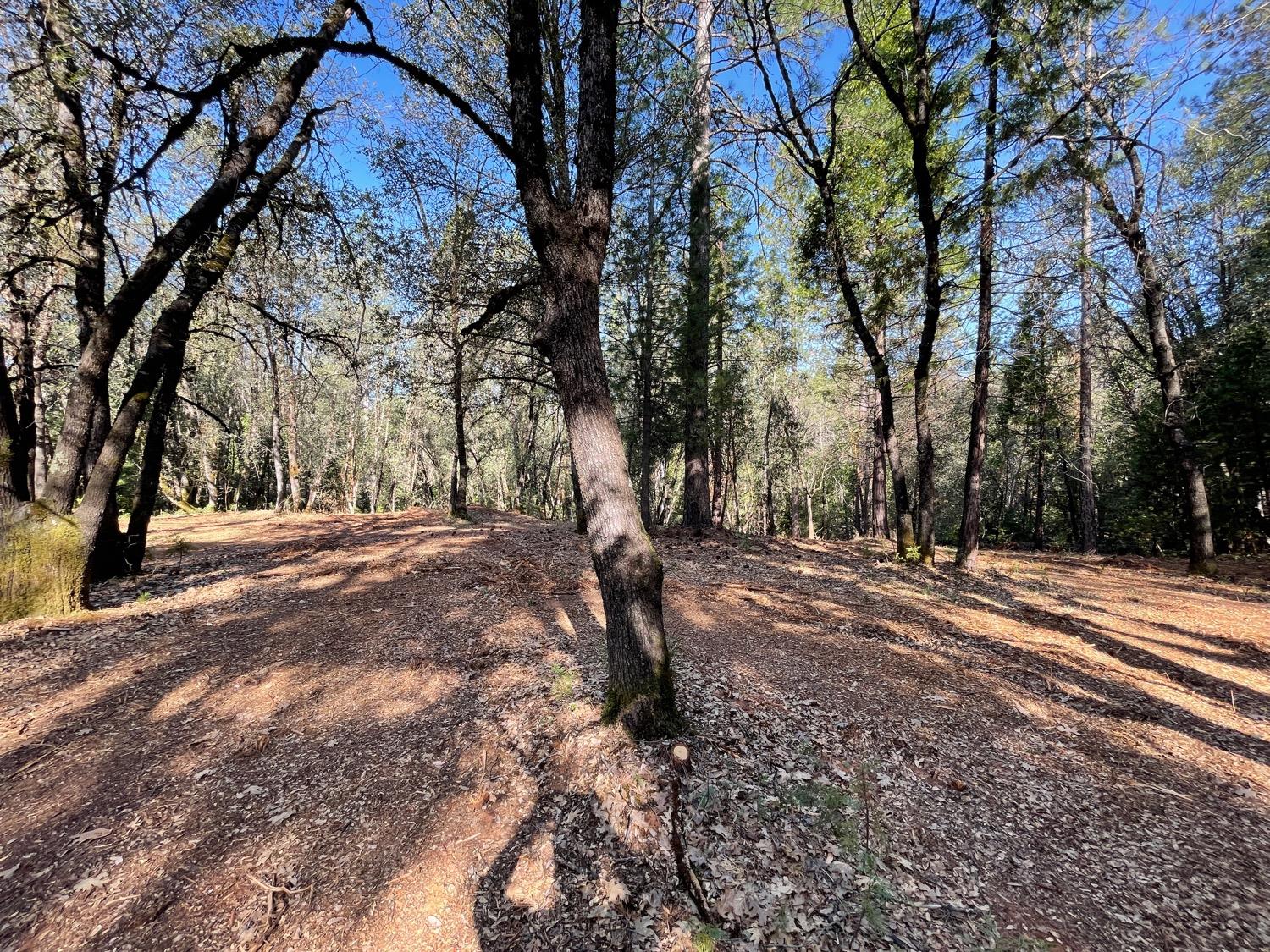 7540 Georgetown Road