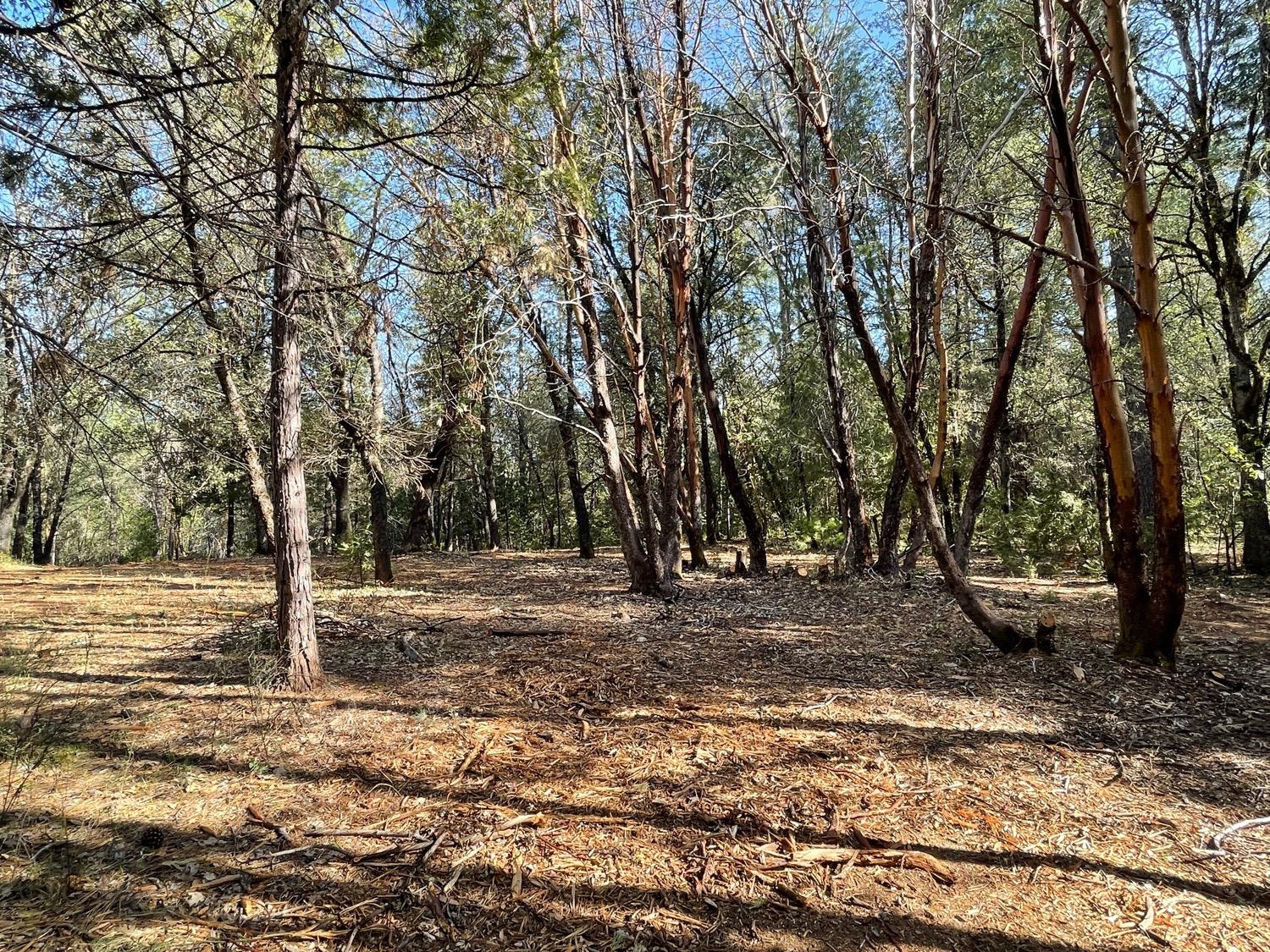 7540 Georgetown Road