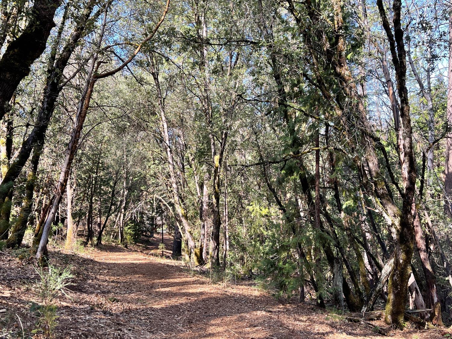 7540 Georgetown Road