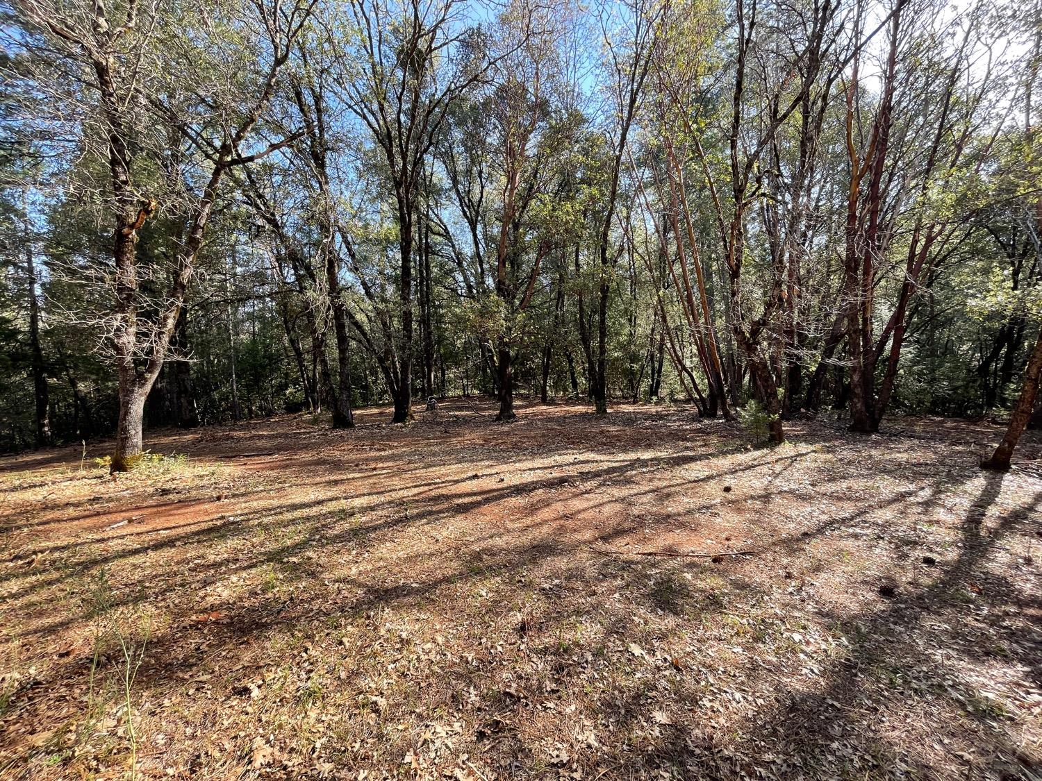 7540 Georgetown Road