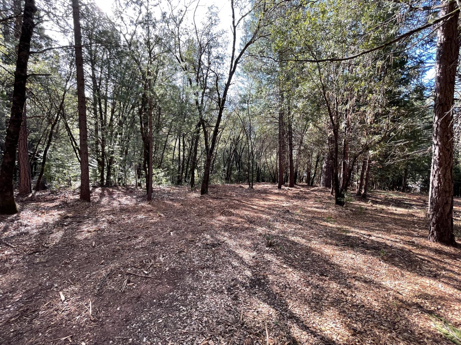 7540 Georgetown Road