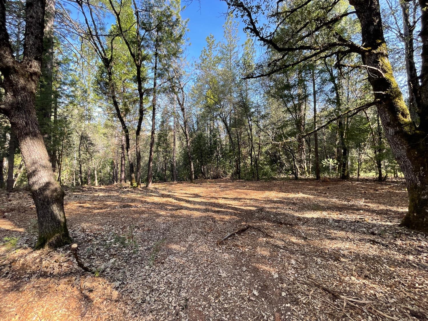 7540 Georgetown Road