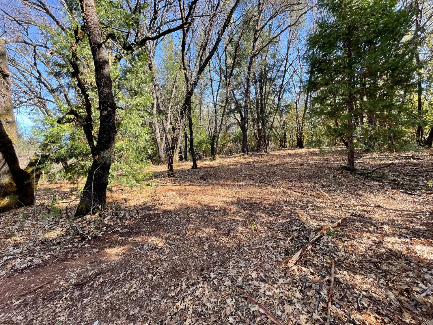 7540 Georgetown Road