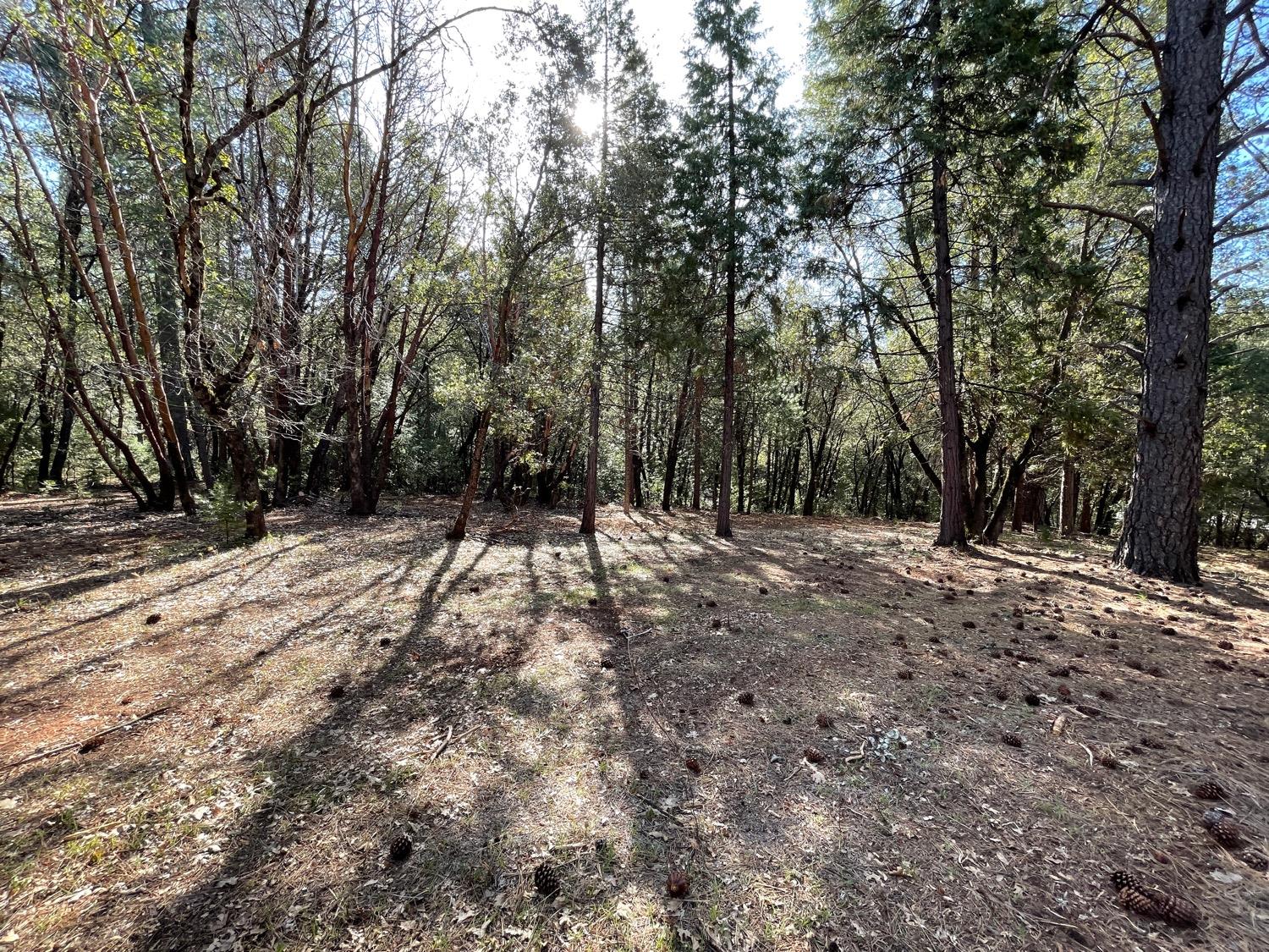 7540 Georgetown Road