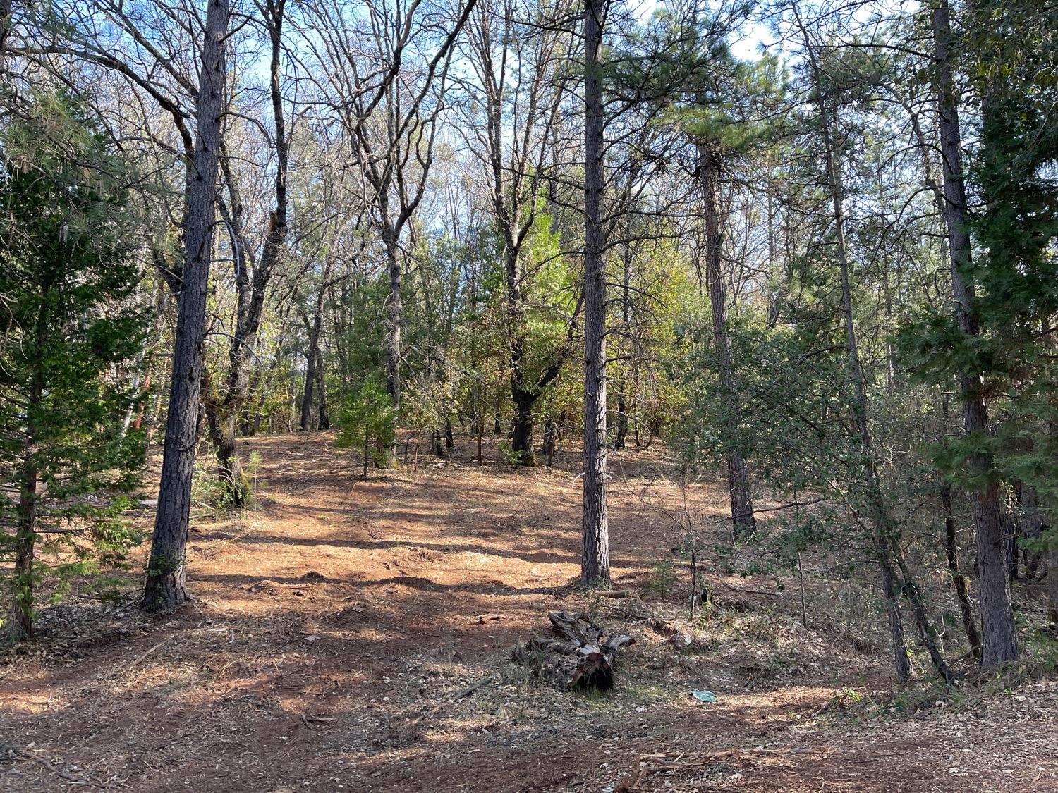 7540 Georgetown Road