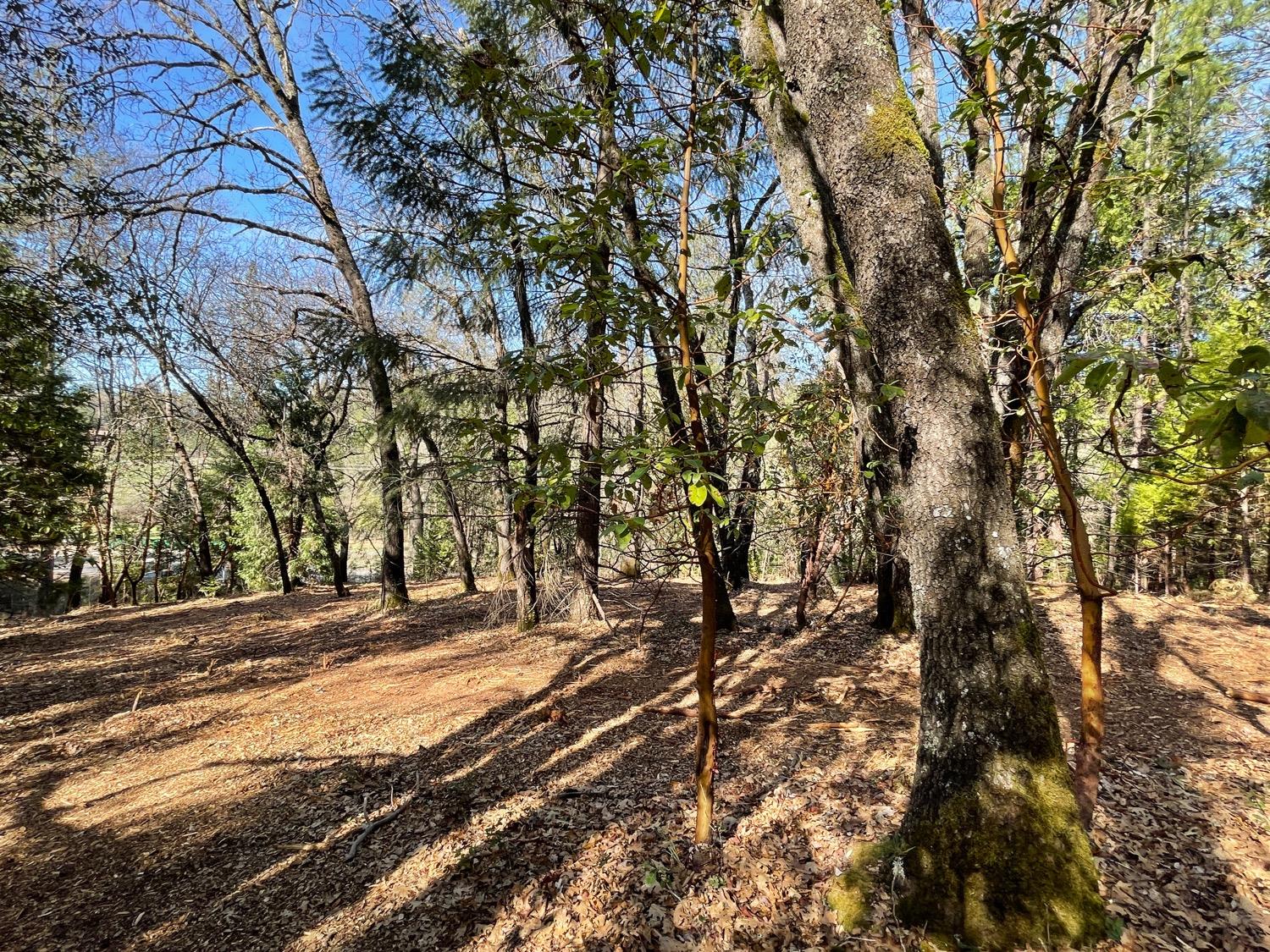 7540 Georgetown Road