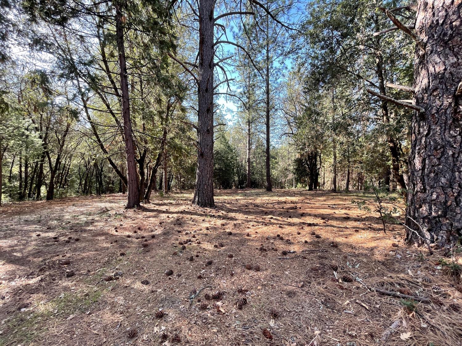 7540 Georgetown Road