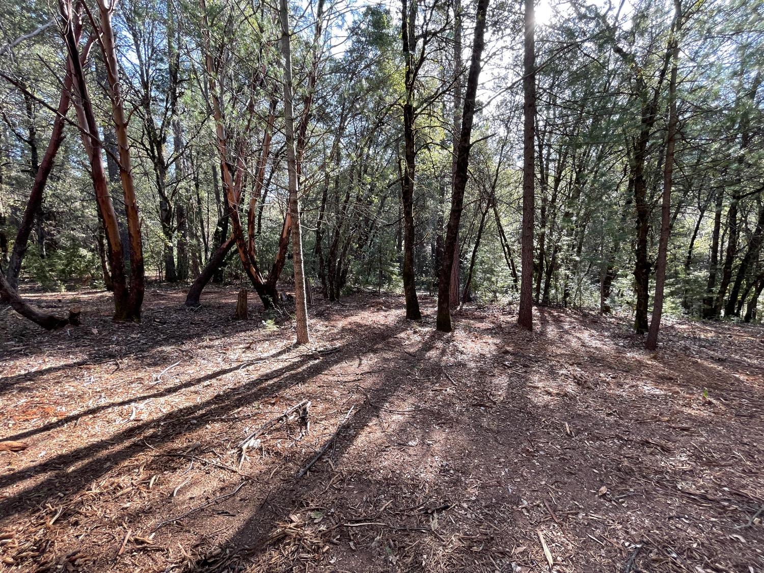 7540 Georgetown Road