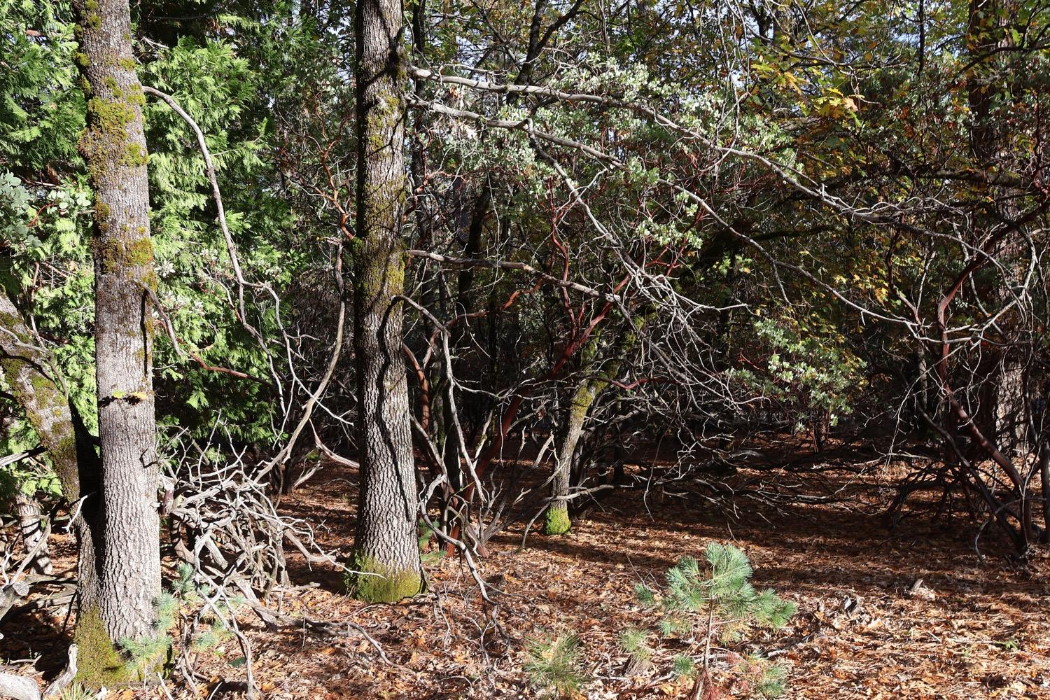 0 Crestline Dr. Drive