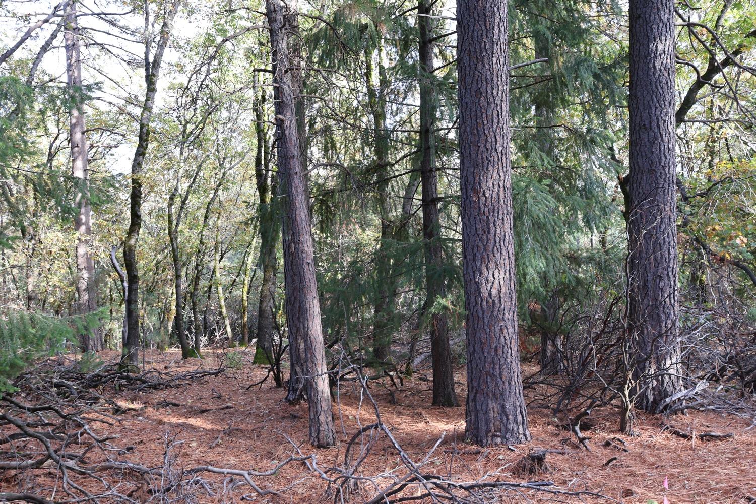 0 Crestline Dr. Drive