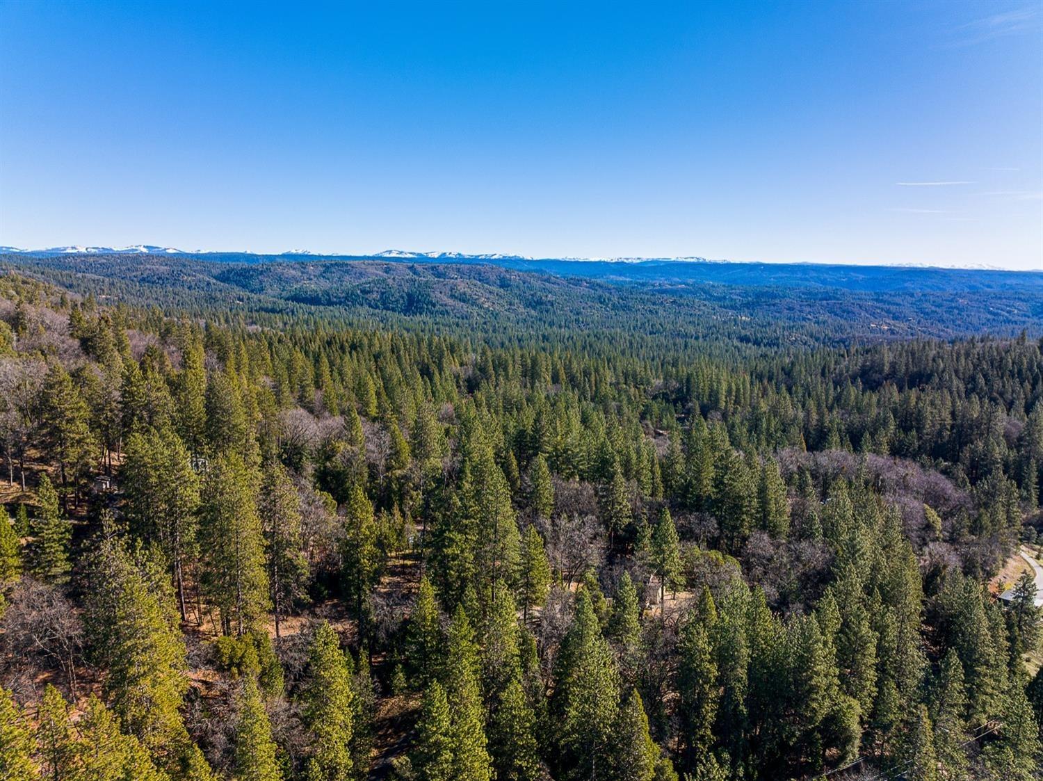 14147 Greenhorn Road