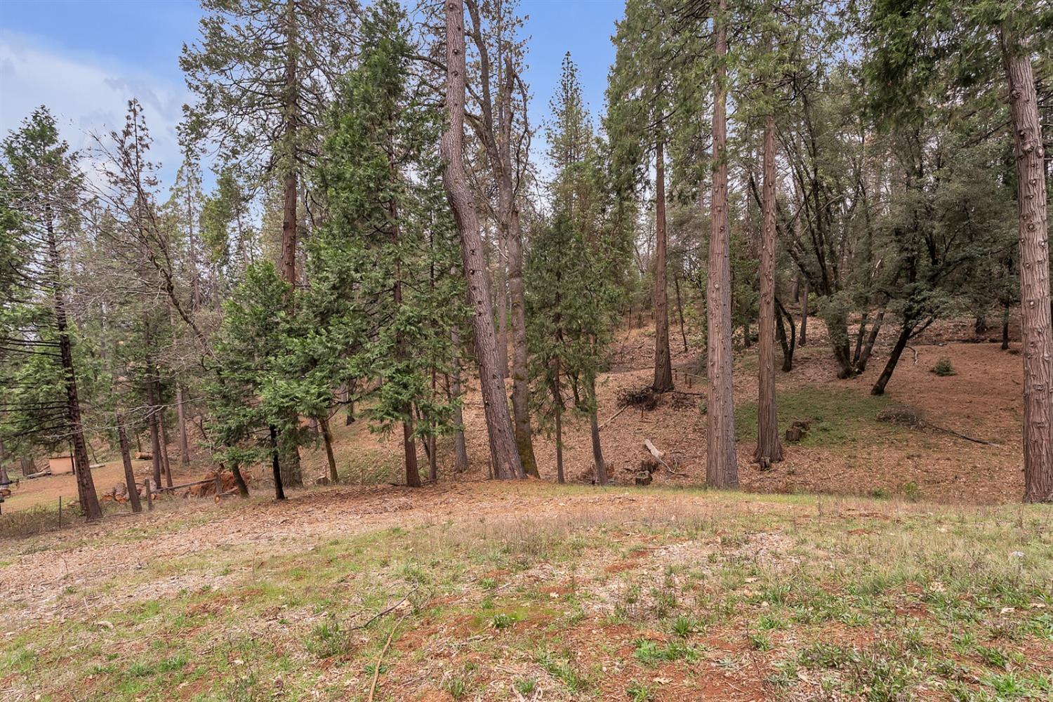 14147 Greenhorn Road