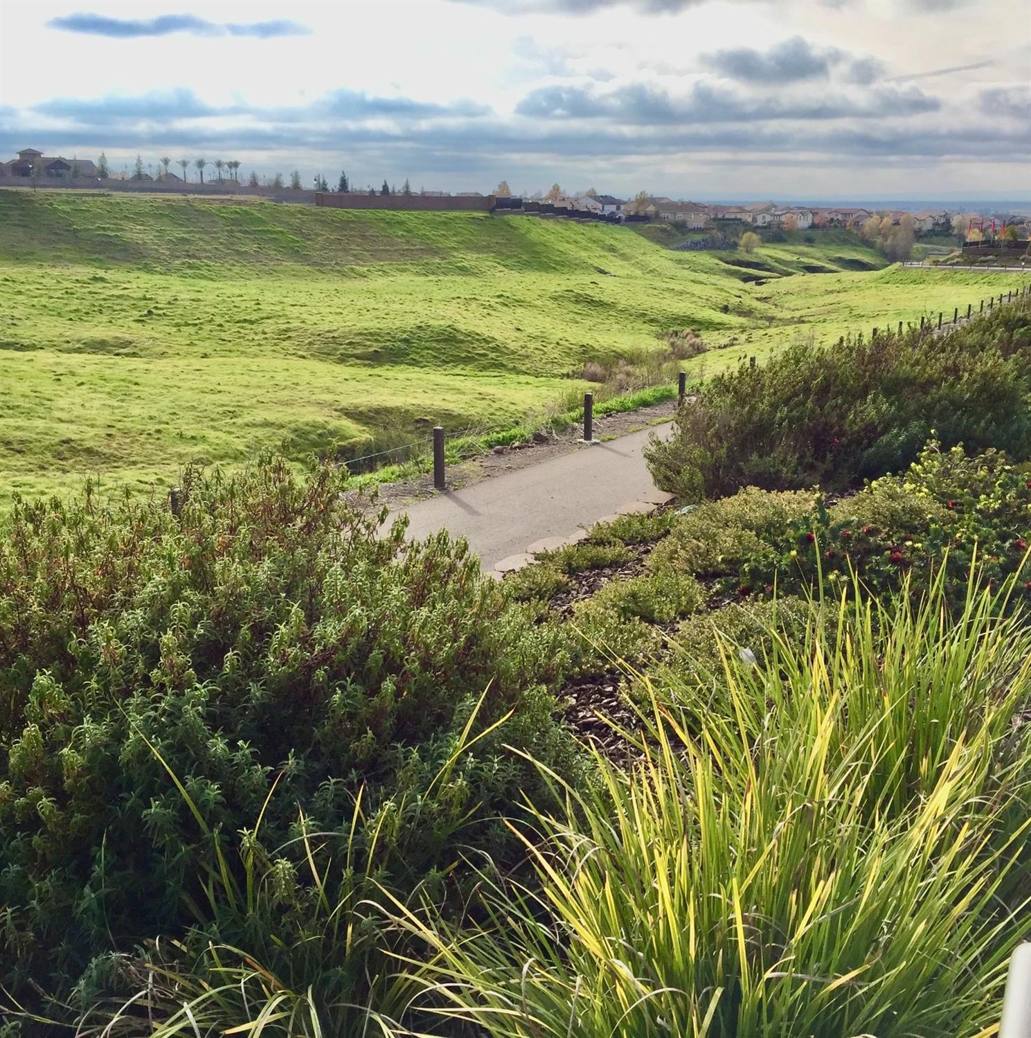 814 Berry Creek Drive