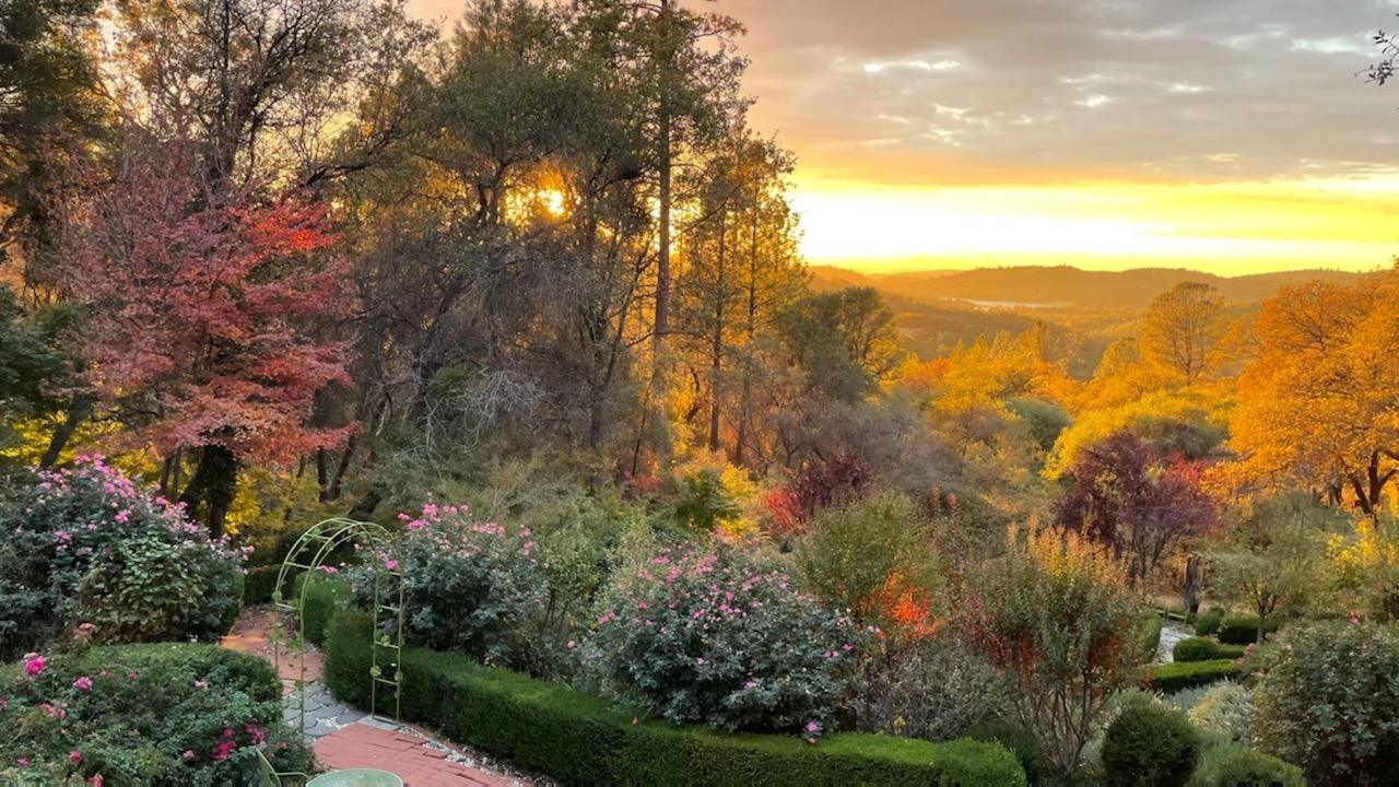 11560 Meadow View Way