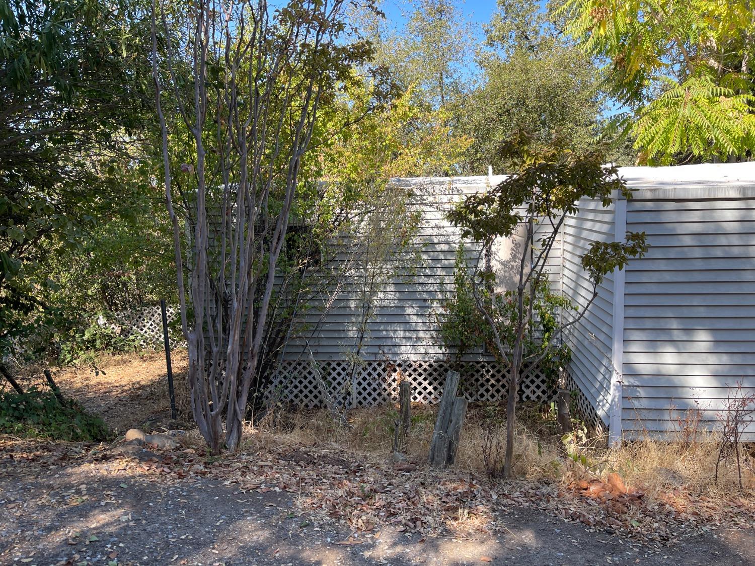 3380 State Highway 49