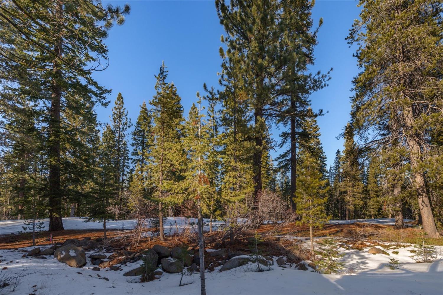 13295 Cristallina Way