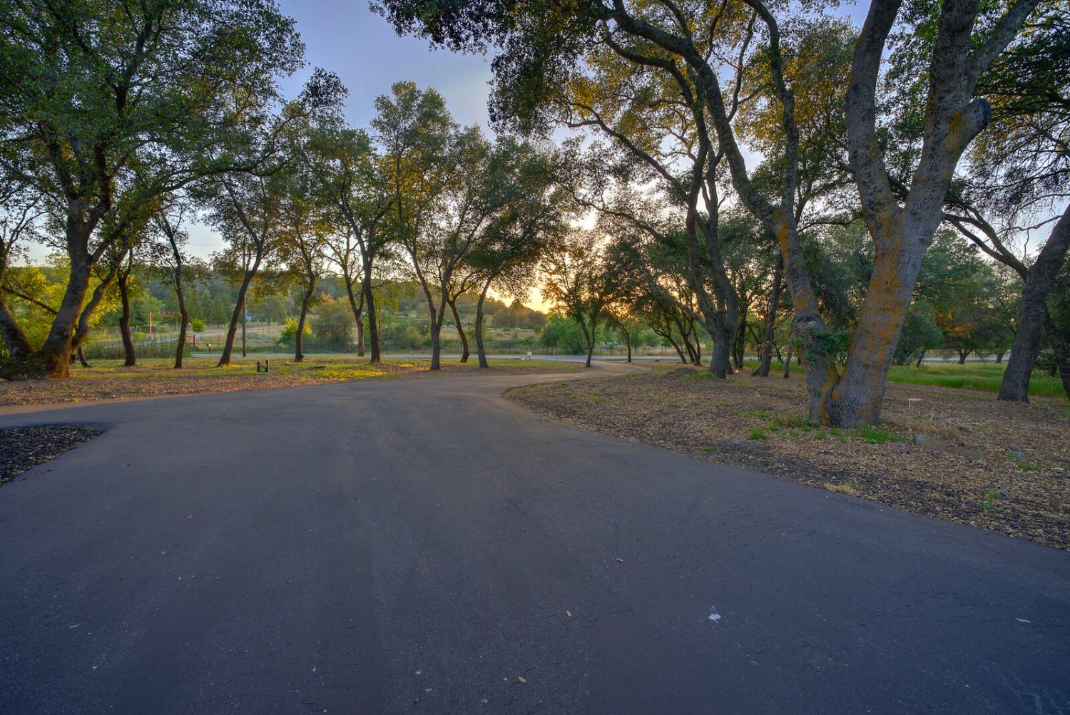 4449 Blackberry Lane