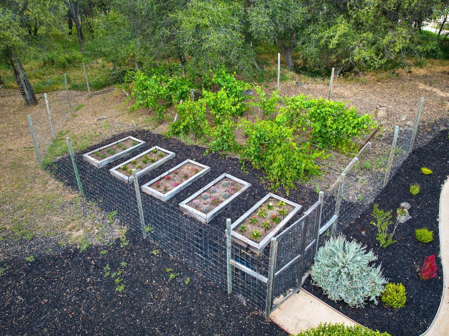 4449 Blackberry Lane