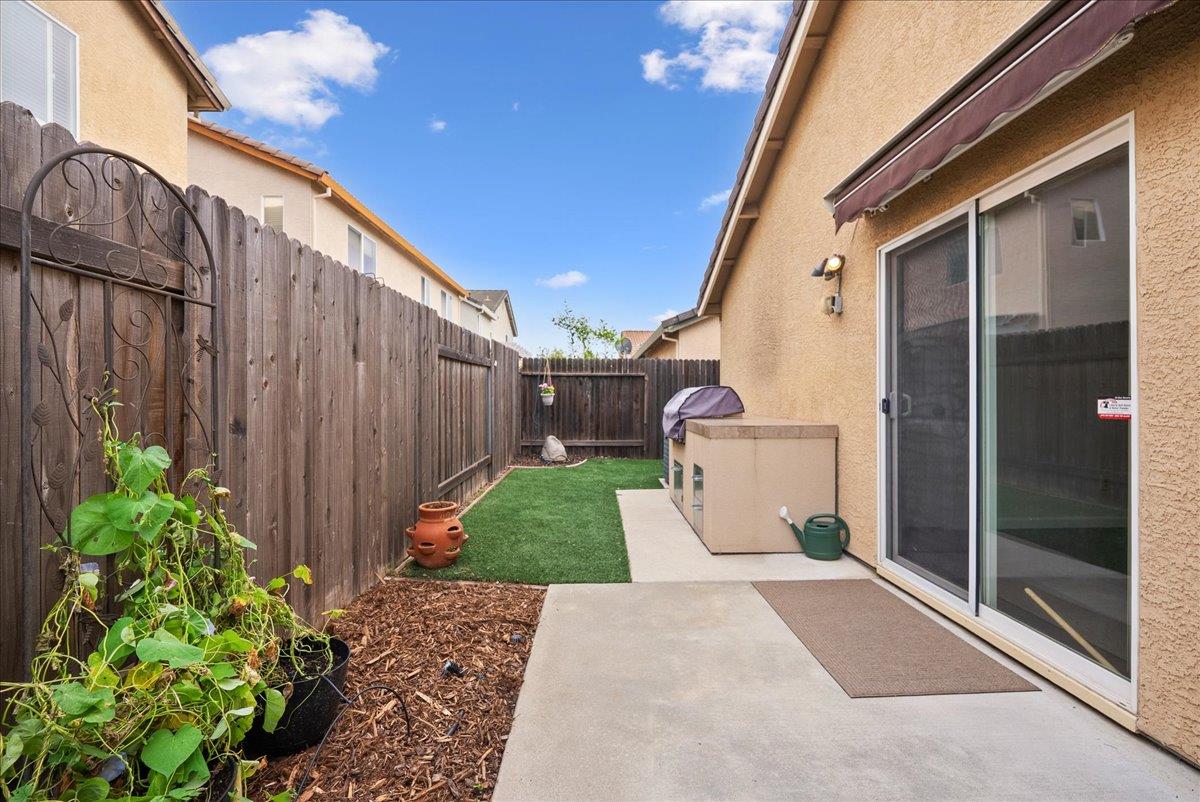 1498 Bushy Tail Street