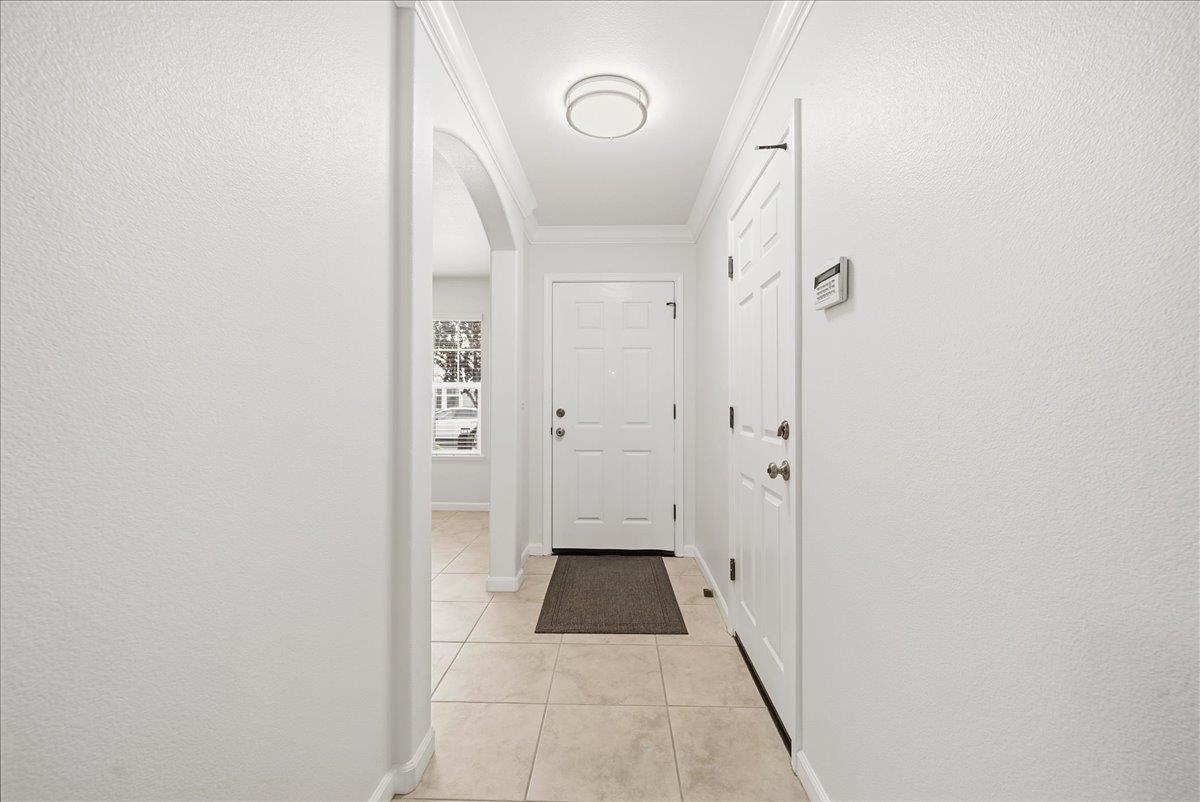 1498 Bushy Tail Street