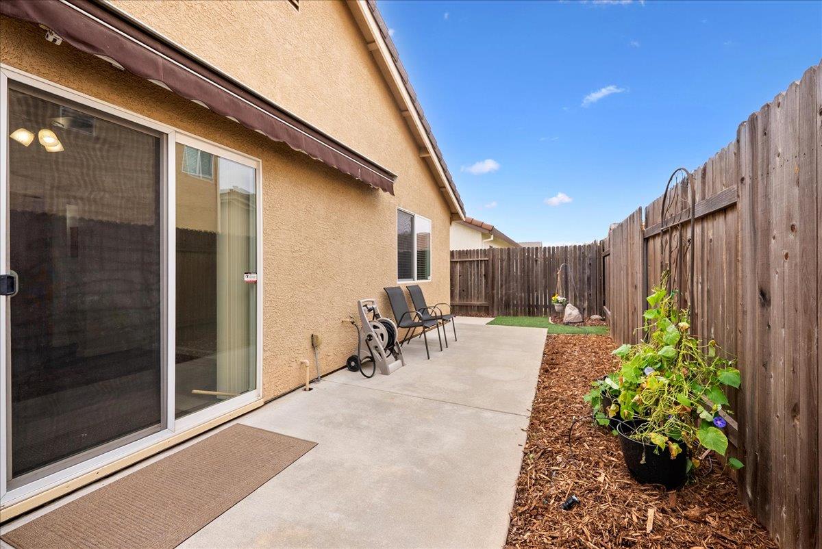 1498 Bushy Tail Street