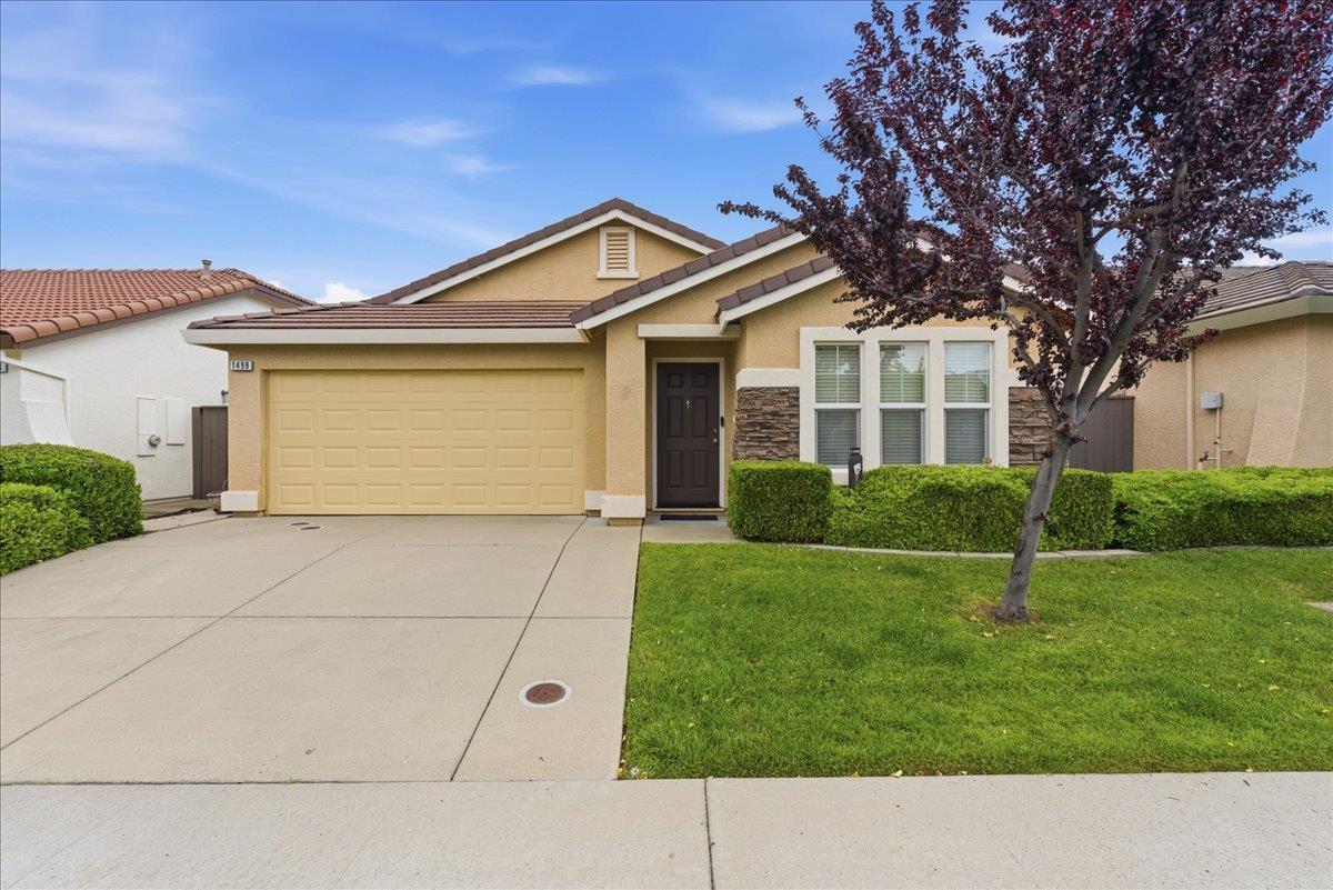 1498 Bushy Tail Street