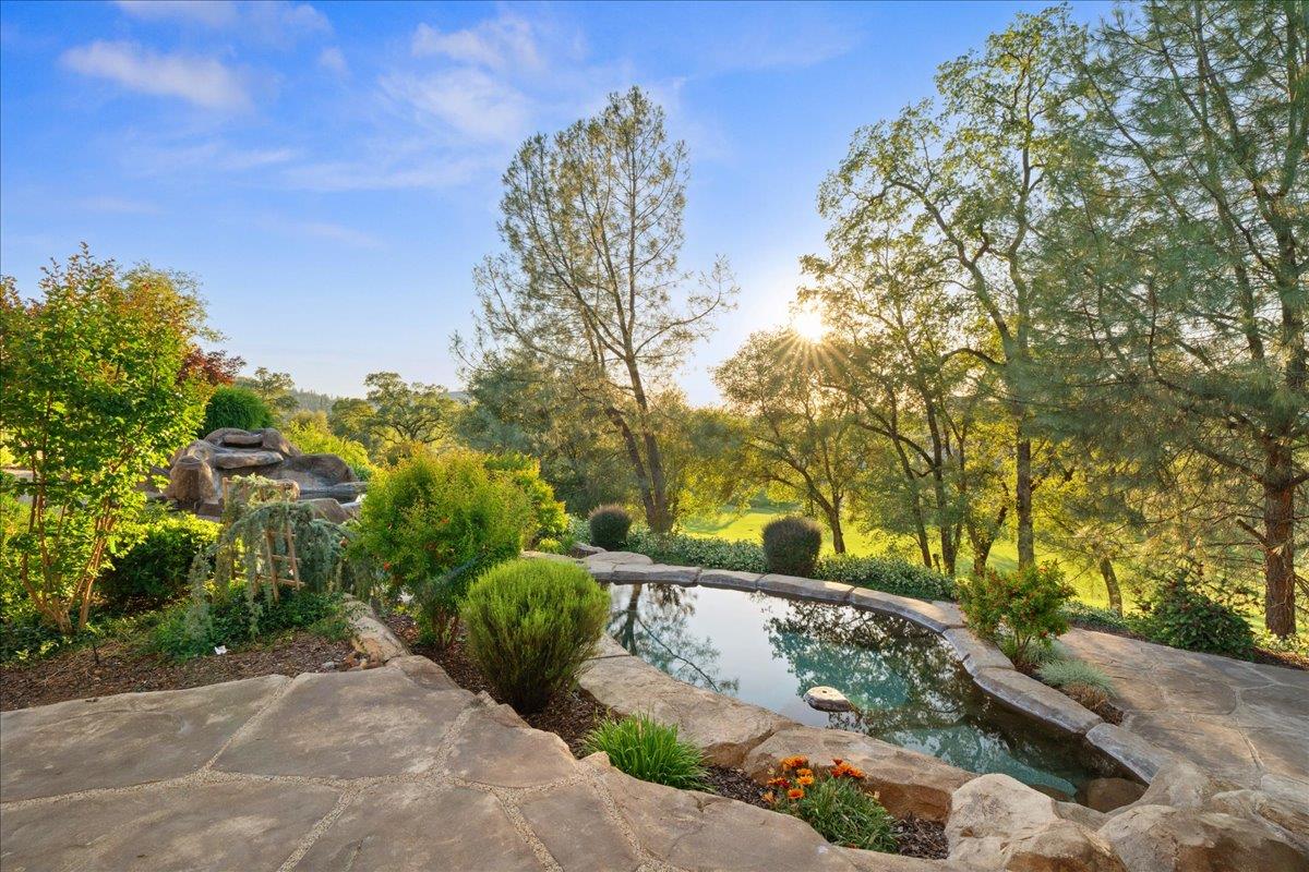 12924 Austin Forest Circle