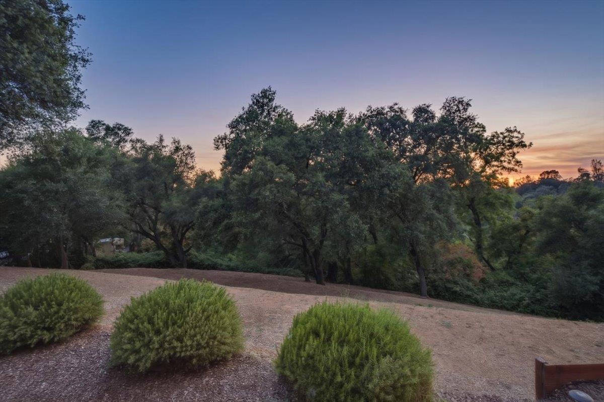 8950 Gilardi Road