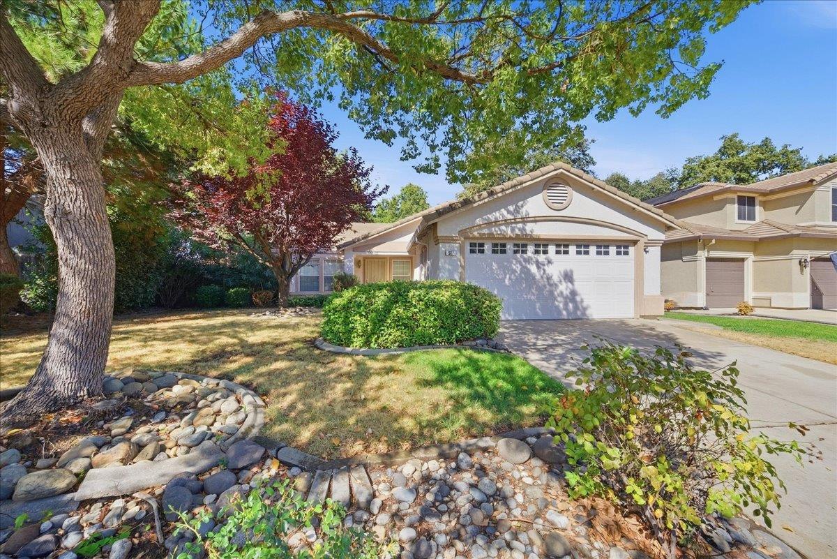 907 Fitzroy Court