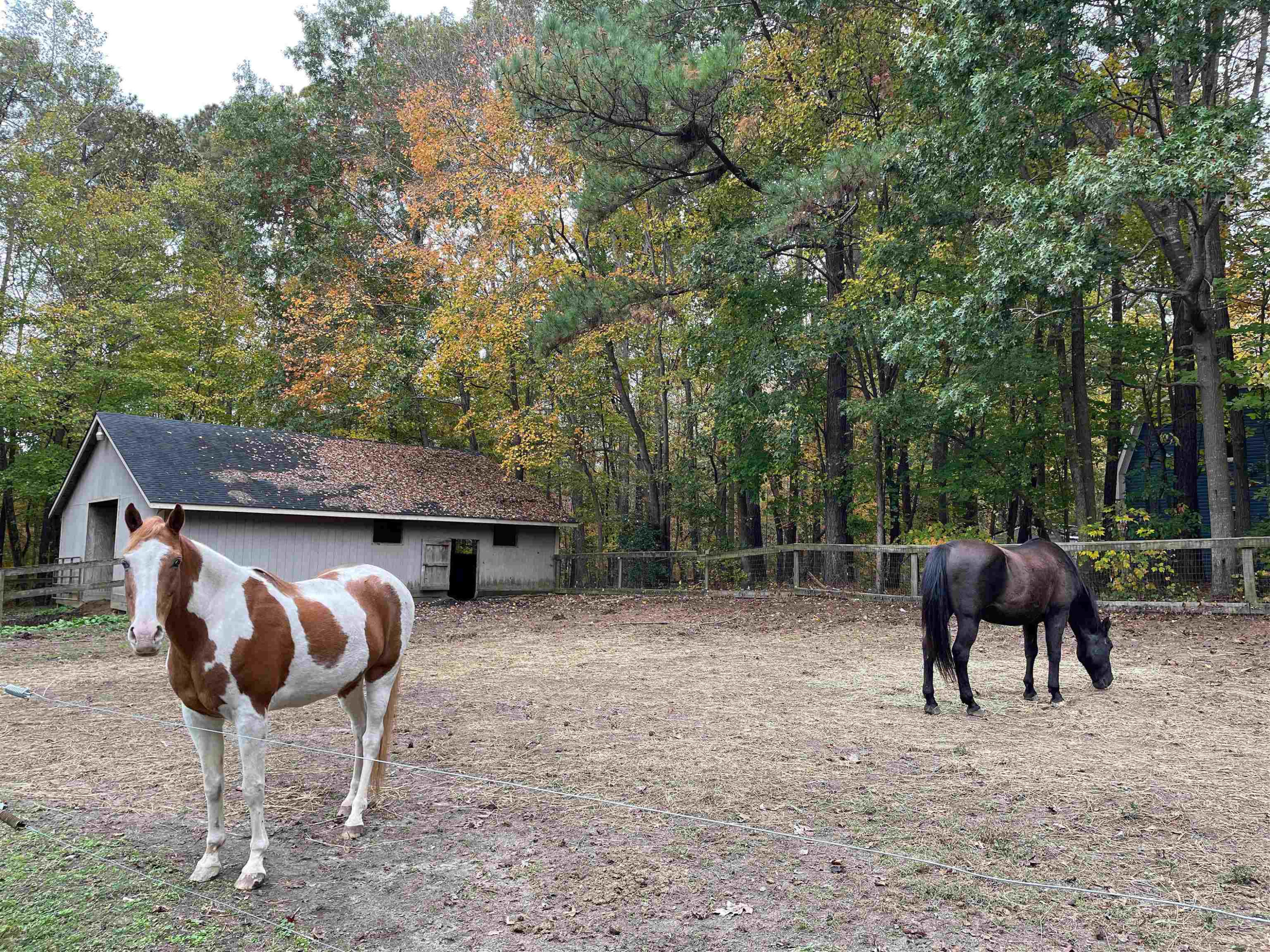 106 Ramseur Road