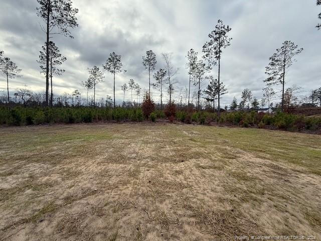 4138 Mabon Court