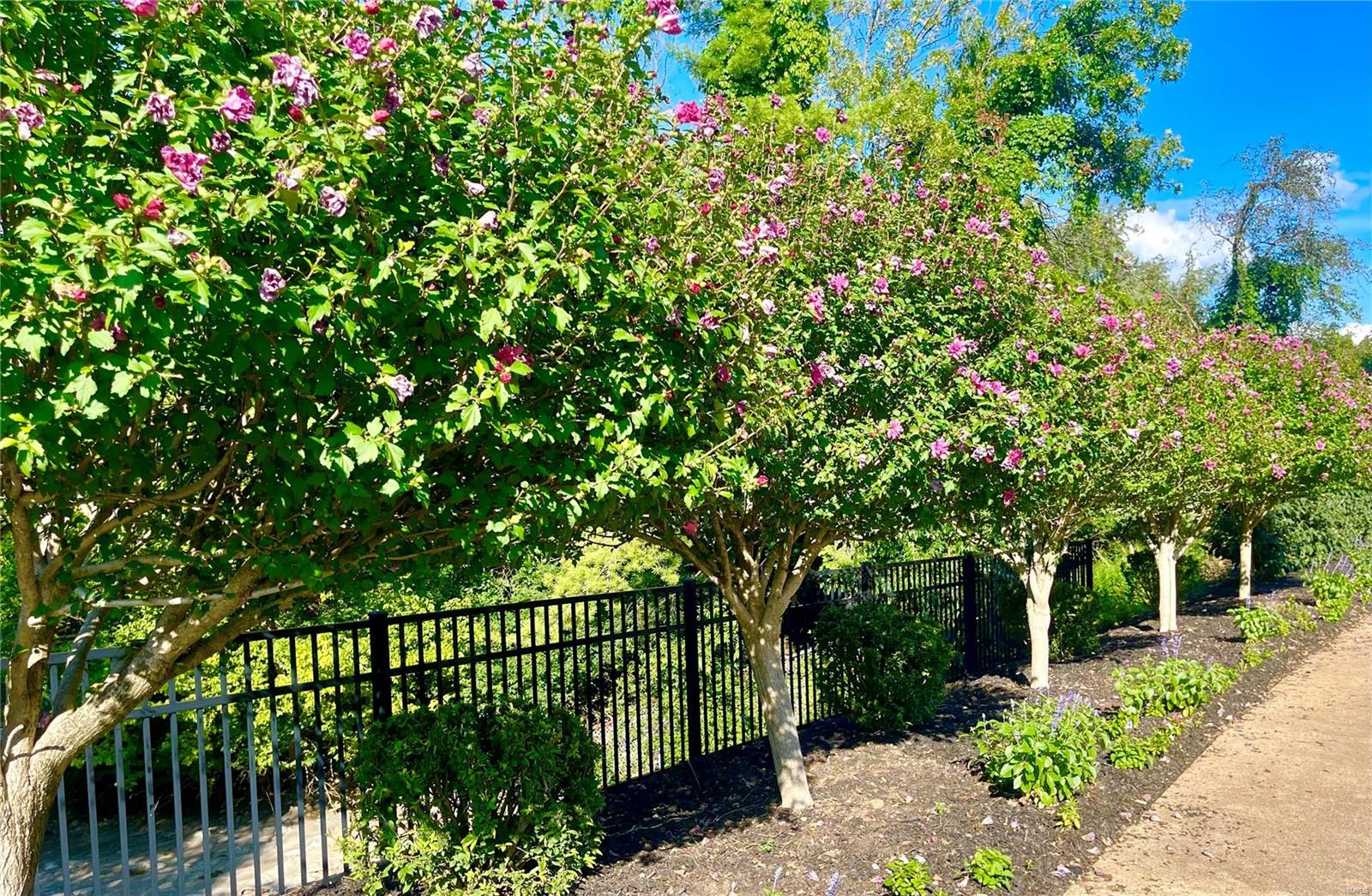 2347 Westclub Terrace Court