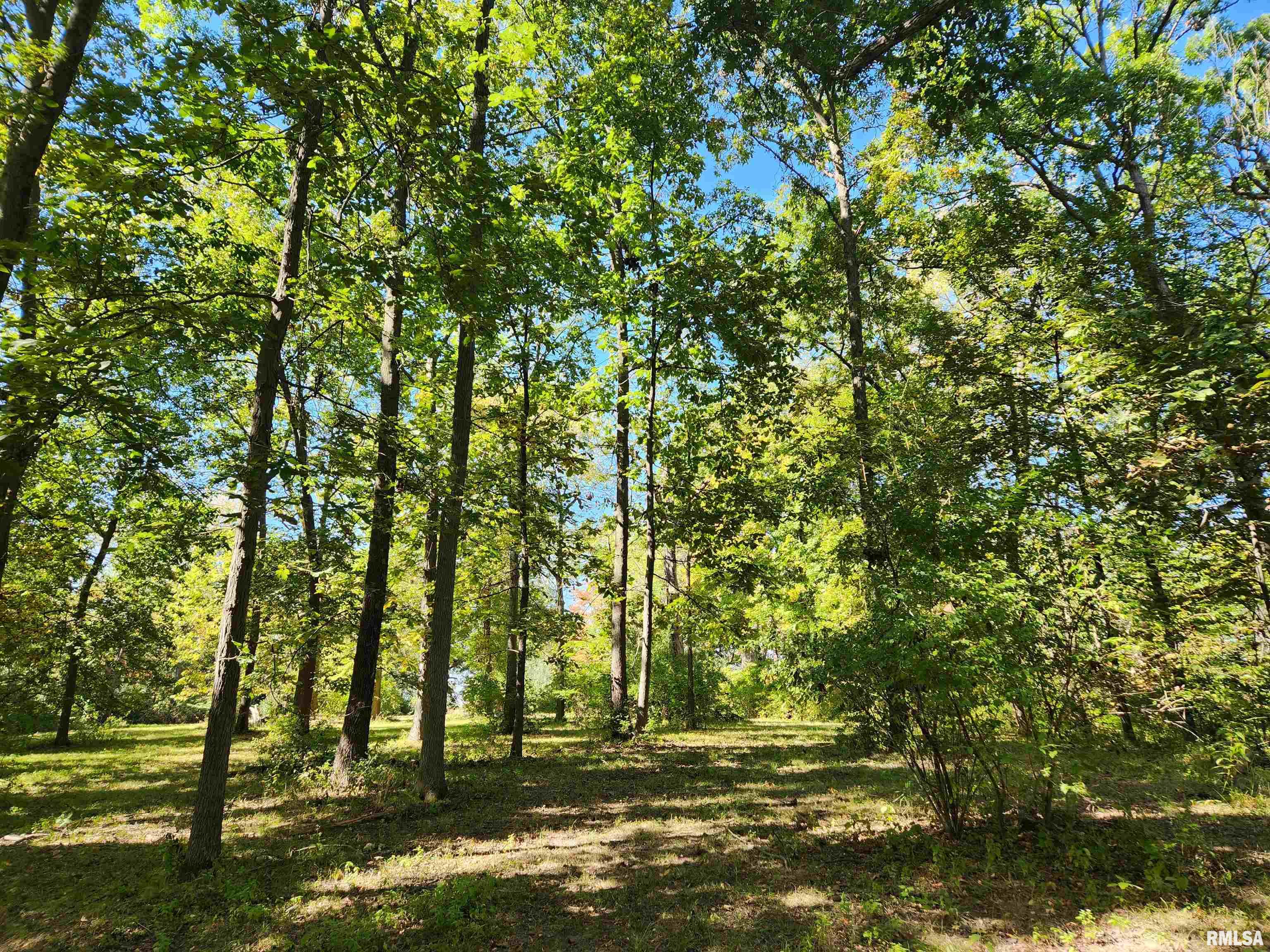 17607 TIMBER RIDGE Lane