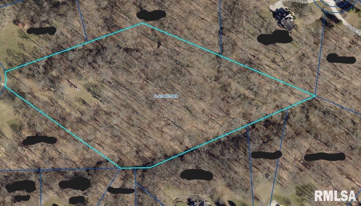 17607 TIMBER RIDGE Lane