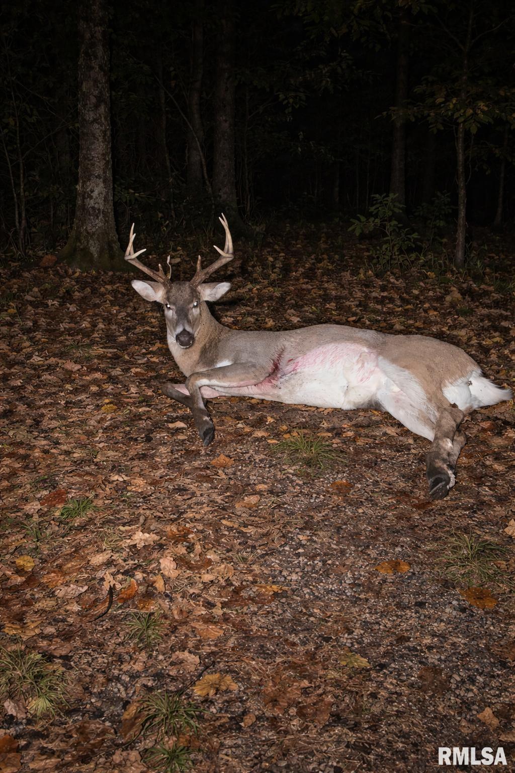 14138 Boyscout Trail