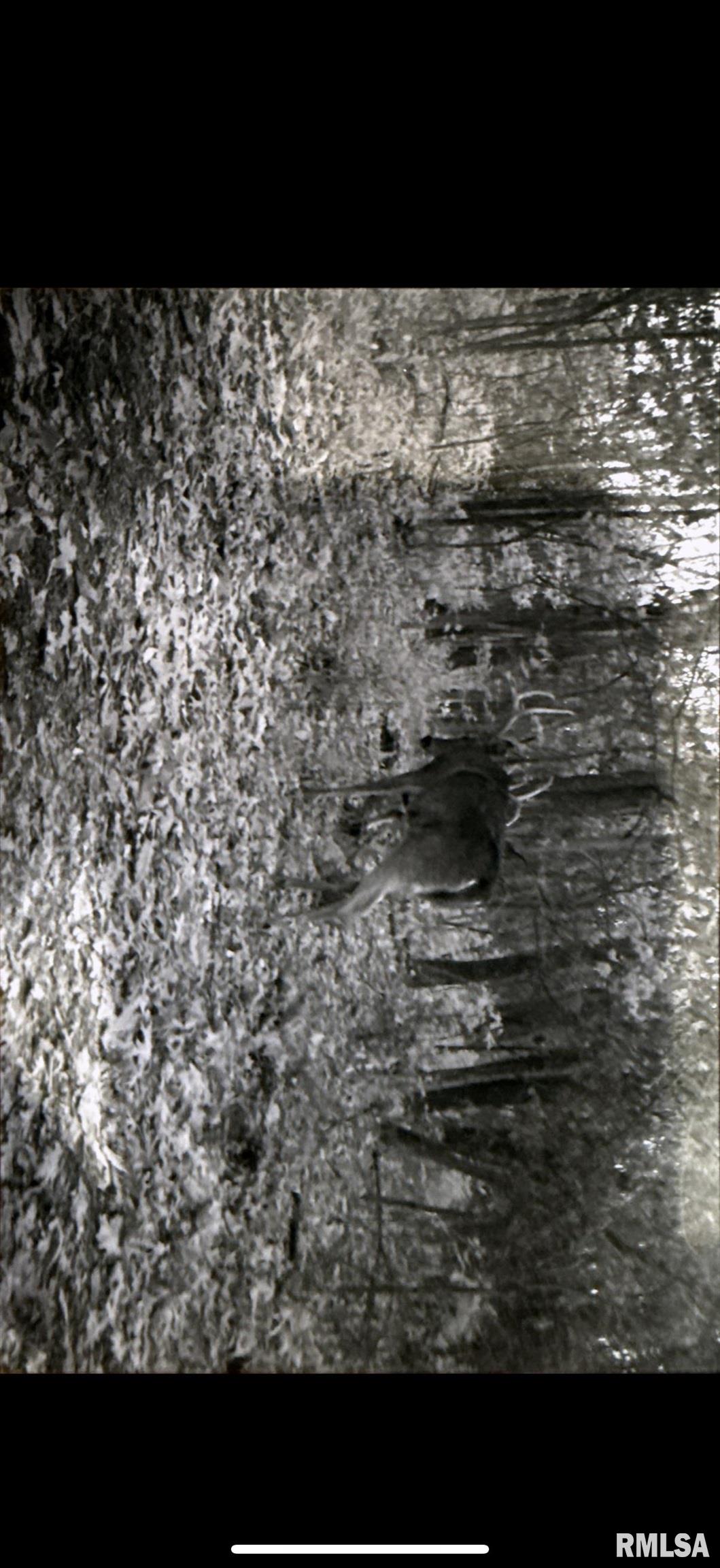 14138 Boyscout Trail