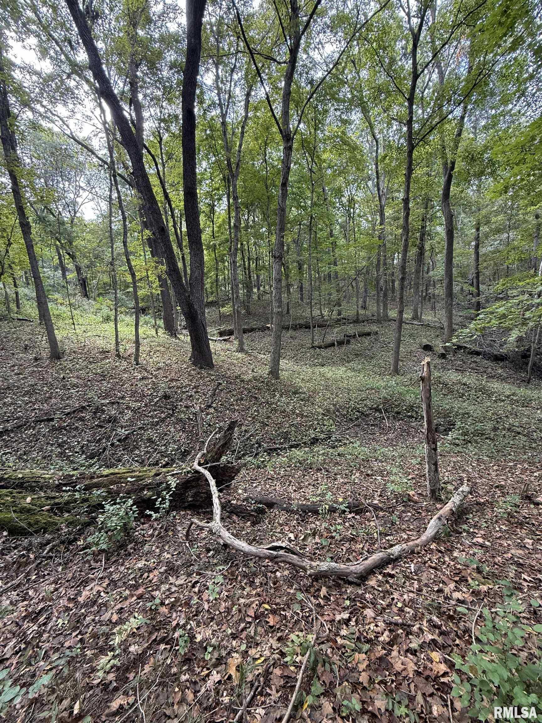 14138 Boyscout Trail