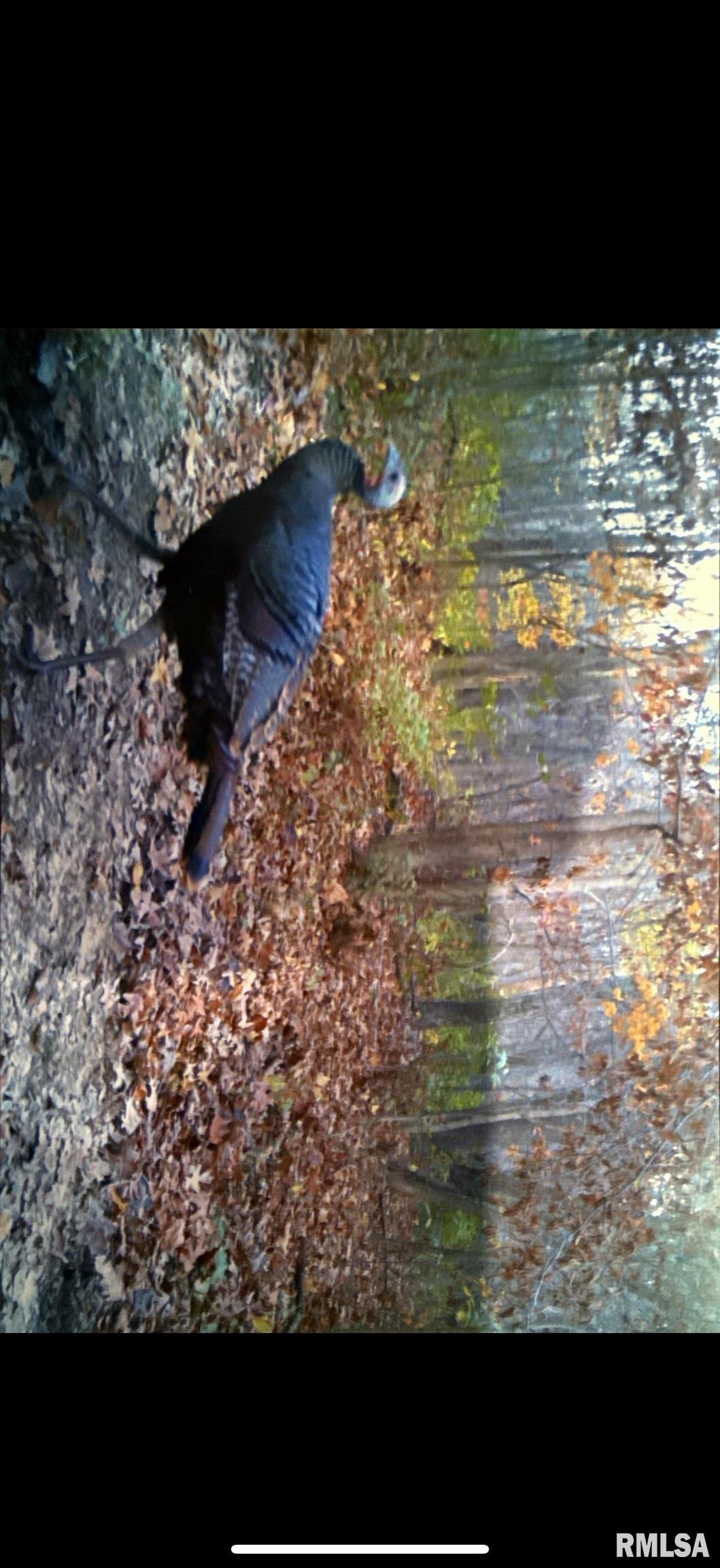 14138 Boyscout Trail