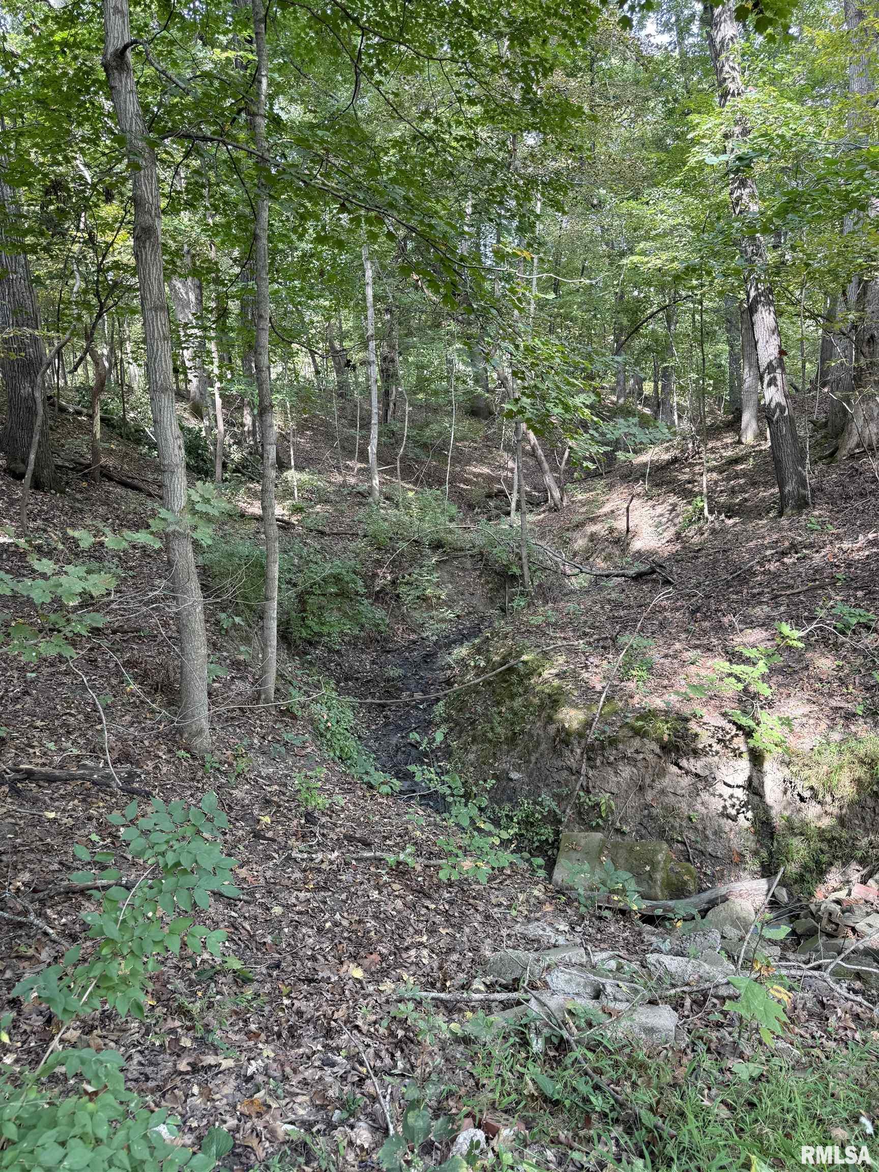 14138 Boyscout Trail