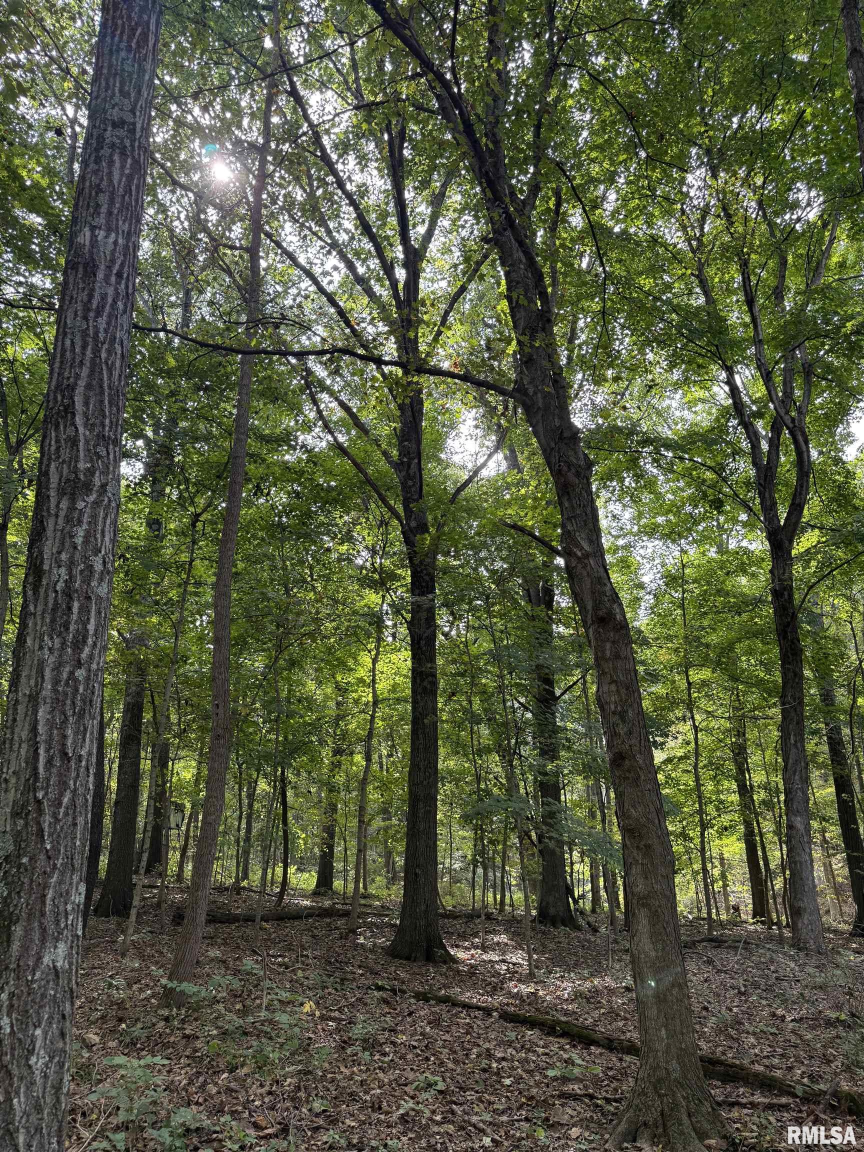 14138 Boyscout Trail