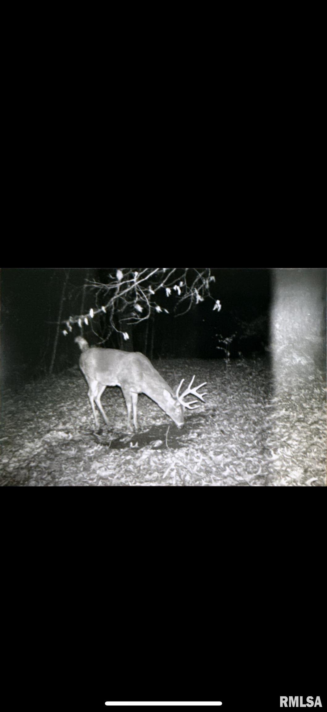 14138 Boyscout Trail